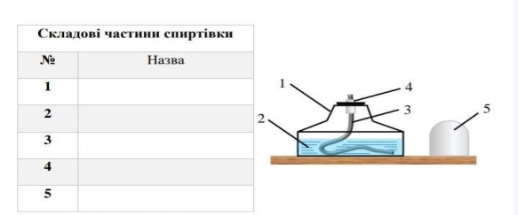 1. Будова спиртівки. Розгляньте малюнок. Позначте основні скла частини  спиртівки (резервуар, гніт, - Школьные Знания.com